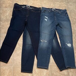 Loft Stylish Women's Blue Jeans Set